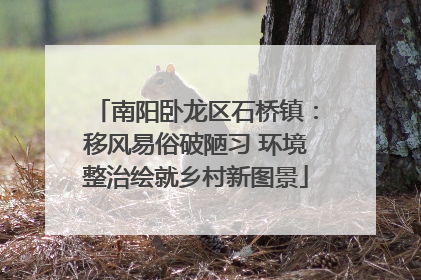 南阳卧龙区石桥镇：移风易俗破陋习 环境整治绘就乡村新图景