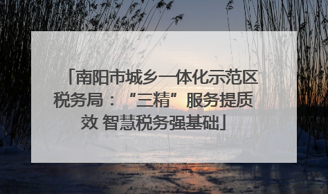 南阳市城乡一体化示范区税务局：“三精”服务提质效 智慧税务强基础