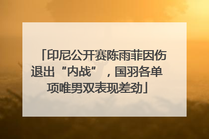 印尼公开赛陈雨菲因伤退出“内战”，国羽各单项唯男双表现差劲