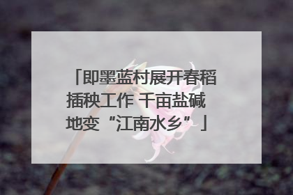 即墨蓝村展开春稻插秧工作 千亩盐碱地变“江南水乡”