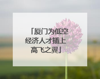 厦门为低空经济人才插上高飞之翼