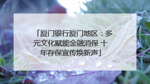 厦门银行厦门地区：多元文化赋能金融消保 十年存保宣传焕新声