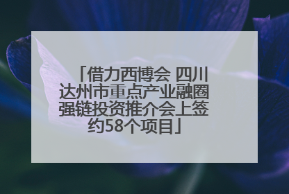 借力西博会 四川达州市重点产业融圈强链投资推介会上签约58个项目