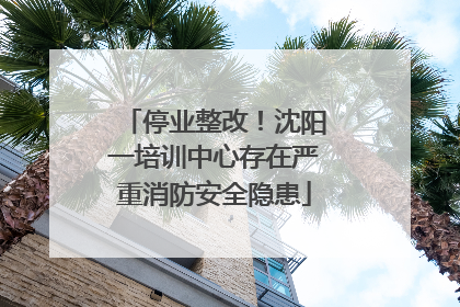 停业整改！沈阳一培训中心存在严重消防安全隐患