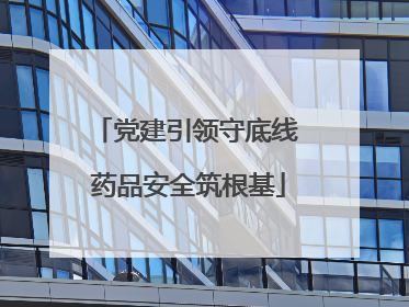 党建引领守底线 药品安全筑根基
