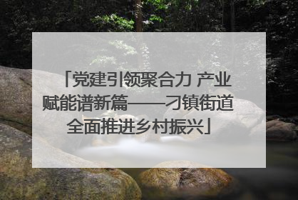 党建引领聚合力 产业赋能谱新篇——刁镇街道全面推进乡村振兴