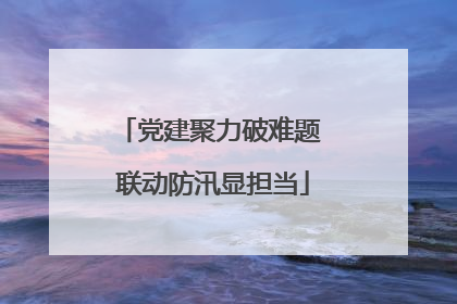 党建聚力破难题 联动防汛显担当