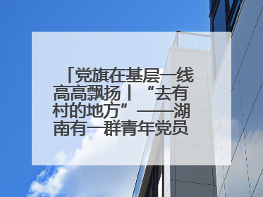 党旗在基层一线高高飘扬丨“去有村的地方”——湖南有一群青年党员这样选择