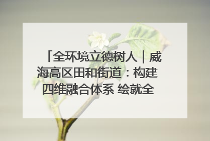 全环境立德树人｜威海高区田和街道：构建四维融合体系 绘就全环境立德树人新画卷