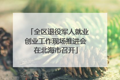 全区退役军人就业创业工作现场推进会在北海市召开
