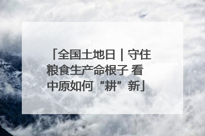全国土地日｜守住粮食生产命根子 看中原如何“耕”新