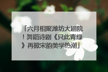 六月相聚潍坊大剧院！舞蹈诗剧《只此青绿》再掀宋韵美学热潮