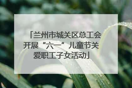 兰州市城关区总工会开展“六一”儿童节关爱职工子女活动