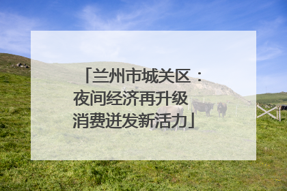 兰州市城关区：夜间经济再升级 消费迸发新活力