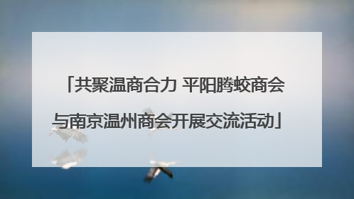 共聚温商合力 平阳腾蛟商会与南京温州商会开展交流活动