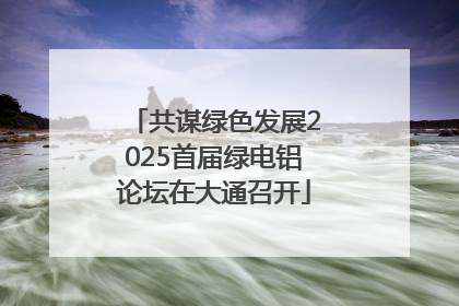 共谋绿色发展2025首届绿电铝论坛在大通召开