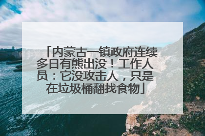 内蒙古一镇政府连续多日有熊出没！工作人员：它没攻击人，只是在垃圾桶翻找食物