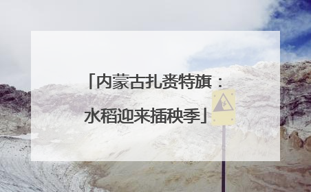 内蒙古扎赉特旗：水稻迎来插秧季