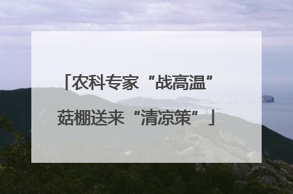农科专家“战高温” 菇棚送来“清凉策”