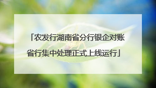 农发行湖南省分行银企对账省行集中处理正式上线运行