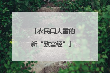 农民闫大雷的新“致富经”