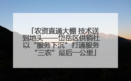 农资直通大棚 技术送到地头——岱岳区供销社以“服务下沉”打通服务“三农”最后一公里