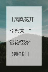 凤凰花开引客来 “赏花经济”别样红