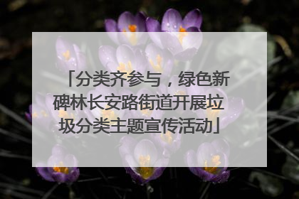 分类齐参与，绿色新碑林长安路街道开展垃圾分类主题宣传活动