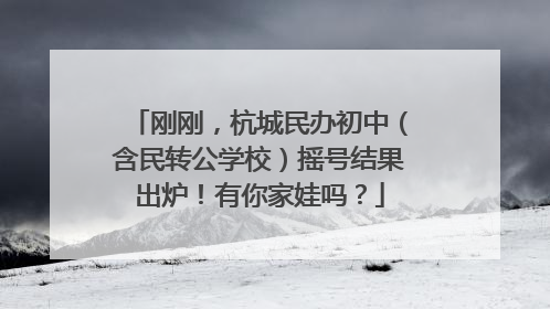 刚刚，杭城民办初中（含民转公学校）摇号结果出炉！有你家娃吗？