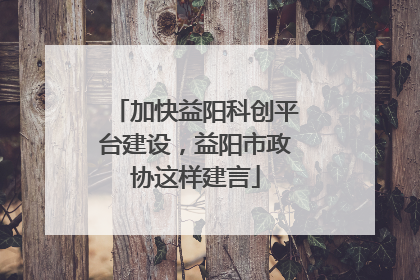 加快益阳科创平台建设，益阳市政协这样建言