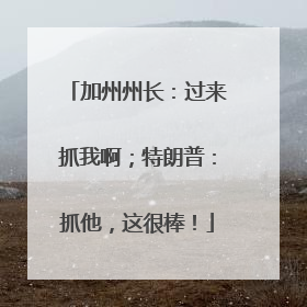 加州州长：过来抓我啊；特朗普：抓他，这很棒！