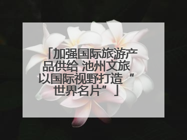加强国际旅游产品供给 池州文旅以国际视野打造“世界名片”