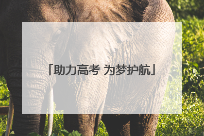 助力高考 为梦护航
