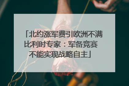 北约涨军费引欧洲不满 比利时专家：军备竞赛不能实现战略自主