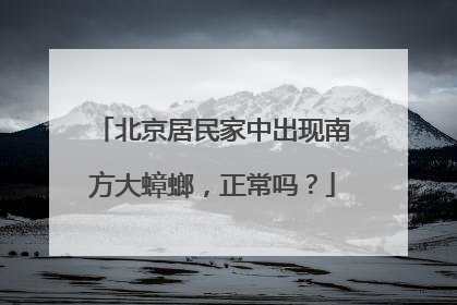 北京居民家中出现南方大蟑螂，正常吗？