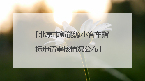 北京市新能源小客车指标申请审核情况公布