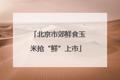 北京市郊鲜食玉米抢“鲜”上市