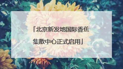 北京新发地国际香蕉集散中心正式启用