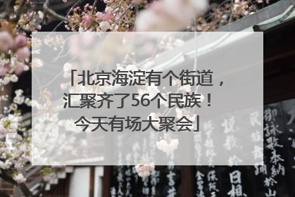 北京海淀有个街道，汇聚齐了56个民族！今天有场大聚会