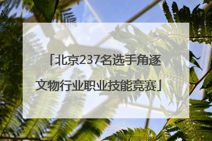 北京237名选手角逐文物行业职业技能竞赛