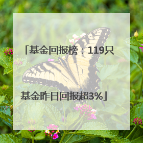 基金回报榜：119只基金昨日回报超3%