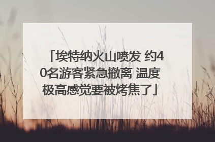 埃特纳火山喷发 约40名游客紧急撤离 温度极高感觉要被烤焦了