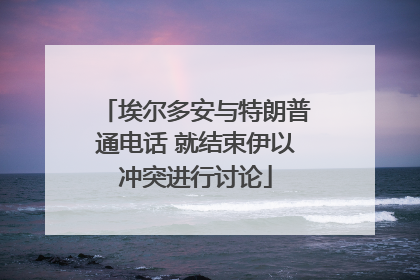 埃尔多安与特朗普通电话 就结束伊以冲突进行讨论
