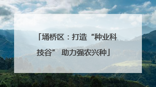 埇桥区：打造“种业科技谷” 助力强农兴种