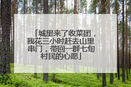 城里来了收菜团，我花三小时赶去山里串门，带回一群七旬村民的心愿