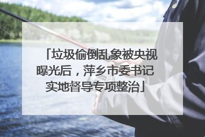 垃圾偷倒乱象被央视曝光后，萍乡市委书记实地督导专项整治