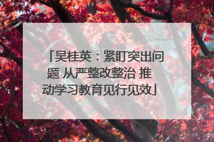 吴桂英：紧盯突出问题 从严整改整治 推动学习教育见行见效