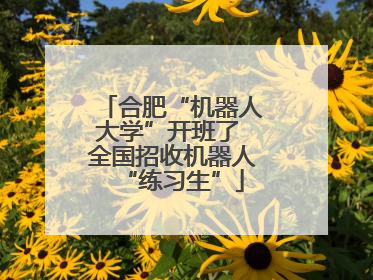 合肥“机器人大学”开班了 全国招收机器人“练习生”