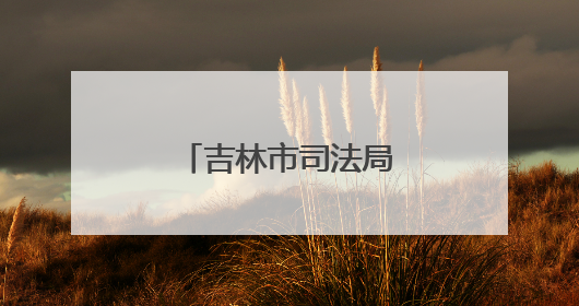 吉林市司法局开展“安全宣传咨询日”活动
