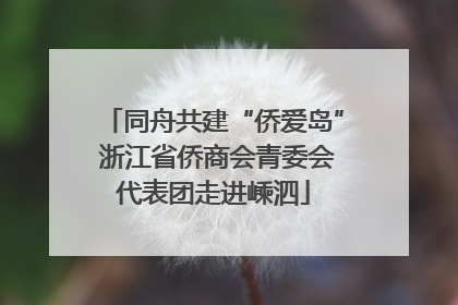 同舟共建“侨爱岛” 浙江省侨商会青委会代表团走进嵊泗